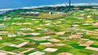 Quang Ngai: Búsqueda de mercados para el ajo de Ly Son.