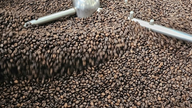 Il 19 marzo, il prezzo del caffè è aumentato di 1.500-1.600 VND/kg.