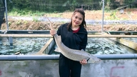 Gadis Muong yang menternak ikan "bangsawan" telah dipilih sebagai wakil Majlis Rakyat Wilayah Thanh Hoa.