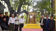 Vinh Long získává certifikát, který jej uznává za vietnamský historický strom.