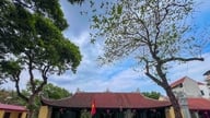 Nam Phu-fællesskabsfestivalen bevarer kulturarven i alle fælleshuse og templer.