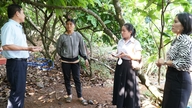 ឆ្កែ​សង្ស័យ​ថា​មាន​ជំងឺ​ឆ្កែឆ្កួត​ខាំ​ម្ចាស់ផ្ទះ និង​កូនប្រុស​របស់​វា ព្រមទាំង​អ្នកជិតខាង​បីនាក់; ខេត្ត​ដាក់ឡាក់​អនុវត្ត​វិធានការ​បង្ការ​ជំងឺ​ឆ្កែឆ្កួត​ជាបន្ទាន់។