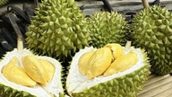 Durianpriser i dag, 23. marts: Ri6 grad A durian stiger til 95.000 VND/kg, thailandsk durian når 165.000 VND.