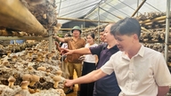 Cao Bang: Levando os produtos OCOP para mais perto de mercados maiores.