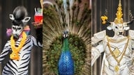 Miss Grand Thailand 2026: Vil scenen blive til en 'zoologisk have'?