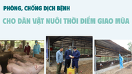 การป้องกันและควบคุมโรคในปศุสัตว์ในช่วงเปลี่ยนฤดูกาล
