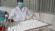 Nâng cao giá trị cây sắn dây nhờ liên kết sản xuất