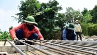 Beboerne i Ho Chi Minh City Ring Road 2-projektet er ved at rive deres huse ned og overdrage jorden: I håb om, at projektet forløber efter planen.