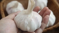 What are the benefits of eating garlic every day for cardiovascular health?