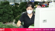 Phu Vinh Industrial Park is attractive to investors.