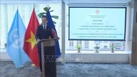 Vietnam bidrager aktivt til samarbejde og fremmer solidaritet inden for det fransktalende samfund.