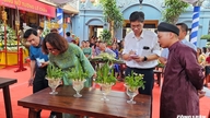 Hai Phong: Kontes bunga daffodil yang unik.