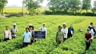Từ phòng thí nghiệm ra đồng ruộng