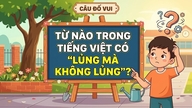 Mikä vietnamilainen sana sisältää ilmauksen "lủng mà không lỗ" (tarkoittaa "reikä, joka ei ole rikki")?