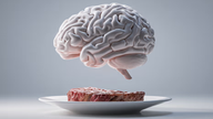 Hjælper en kost med højt kødindhold med at beskytte hjernefunktionen hos personer med genetisk risiko for Alzheimers?
