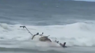 Turisztikai helikopter zuhant le Hawaiin, hárman meghaltak.