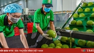 Vietnamesisk landbrug står over for Mellemøstens "test": Proaktiv reaktion for at opretholde vækstmomentum.