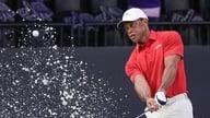 Der legendäre Golfer Tiger Woods wurde wegen Trunkenheit am Steuer und Verursachung eines Unfalls verhaftet.