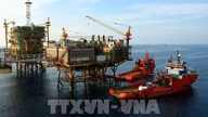 Gli studiosi italiani apprezzano molto la strategia di sicurezza energetica del Vietnam.