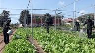 „Fermierii veterani” de elită pe terenul de antrenament al barajului Minh.