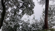Algeriassa sataa lunta keskellä kevättä.