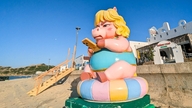 Угрюмый конь из Куи Нхона «забрёл» на пляж Нхон Ли.