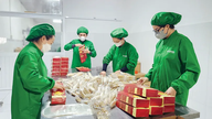 Peste 3,74 miliarde VND au fost alocate pentru a sprijini întreprinderile în îmbunătățirea productivității și a calității produselor.