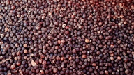 Giá cà phê đảo chiều tăng, hồ tiêu giảm đến 2.000 đồng/kg