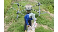 Fermierii pulverizează pesticide cu ajutorul dronelor.