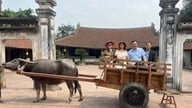 Lähde härkäkärryajelulle tutustumaan muinaiseen Đường Lâmin kylään.
