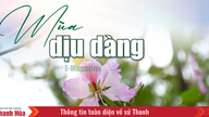 [E-magasin]: Den blide sæson