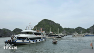 Standardisera regler för samordning av hanteringen av turistbåtar mellan Ha Long-bukten och Lan Ha-bukten.