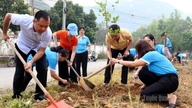 Ha Giang 2-distriktet bygger en "Kvindernes Blomstergade".