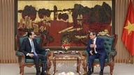 Premierminister Pham Minh Chinh modtager den kinesiske ambassadør.