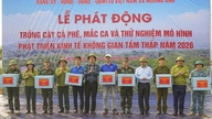 FPT ແລະ ແຂວງດຽນບຽນ ພວມບຸກເບີກການທົດສອບການພັດທະນາເສດຖະກິດລະດັບຕໍ່າດ້ວຍເຮືອບິນບໍ່ມີຄົນຂັບ.