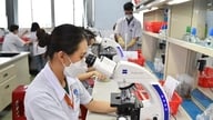 Ho Chi Minh City: Proaktiv sikring af menneskelige ressourcer til centrale økonomiske sektorer.