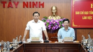 Đoàn Chỉ đạo Tổng điều tra kinh tế năm 2026 Trung ương làm việc tại tỉnh Tây Ninh