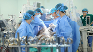 Militært medicinsk personales mærke på Vietnams organtransplantationskort.