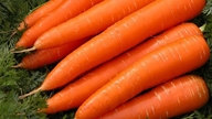 6 naturlige måder at forbedre synet og beskytte dit syn.