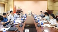 استقبل نائب الوزير دو شوان توين مستشار السياسة الصحية الياباني وعمل معه.