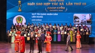 Fünf Vertreter von Hai Phong wurden mit dem Cooperative Star Award und dem Mai An Tiem Award ausgezeichnet.