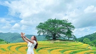 សាប៉ាខ្នាតតូច