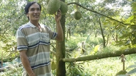 Berkolaborasi untuk membawa durian ke tempat yang lebih luas.