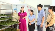 Tạo chuỗi giá trị từ liên kết bền chặt