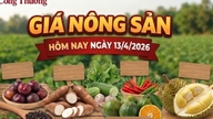 តម្លៃផលិតផលកសិកម្មថ្ងៃនេះ ទី១៣ ខែមេសា៖ ទំនិញជាច្រើនប្រភេទបានកើនឡើងតម្លៃ។