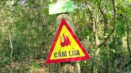 Attivare le misure di prevenzione degli incendi boschivi durante il periodo di massima ondata di caldo.