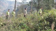 Viele wirksame Methoden zur Vorbeugung und Bekämpfung von Waldbränden während der Trockenzeit.