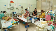 Alerta para o risco de uma dupla epidemia no Sul, com 12 mortes relatadas.