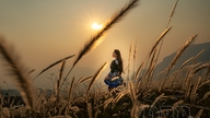 Tia Lo Grass Hill: Tempat daftar masuk yang sangat cantik.