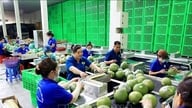 Çin'e Greyfurt ve Limonların Resmi İhracatına İlişkin Protokolün İmzalanması